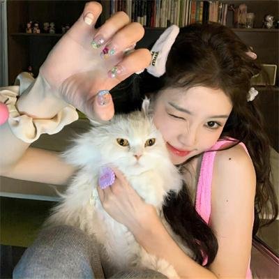 少年包青天第一部